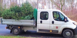 Odklízení vánočních stromků
