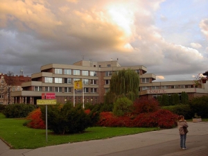 Informace o výjimkách z obecného postupu - Směrnice č. 5-6 k pořizování služeb, materiálu a majetku města