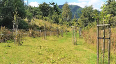 Tvoříme Děčín: Chceme se toulat v Březinách. Další projekt dokončen