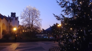 Dva adventní víkendy jsou za námi, co nás ještě do Vánoc čeká?