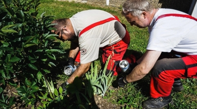V Děčíně začala podzimní deratizace