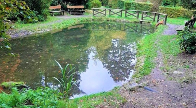 Tvoříme Děčín 2020 zná vítěze, další projekty jsou dokončeny