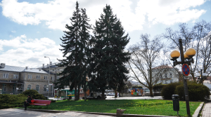 Začínají úpravy přednádraží, dojde k pokácení stromů