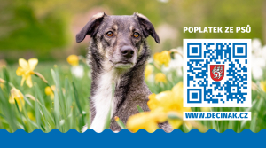 Poplatek ze psů: První splátku uhraďte do konce března