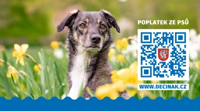 Poplatek ze psů: První splátku uhraďte do konce března