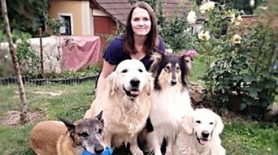 Útulek pořádá výcvikový kurz