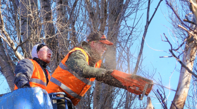 Město zahájilo nezbytnou údržbu zeleně