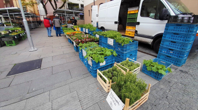 Tržnici najdete na Husově náměstí