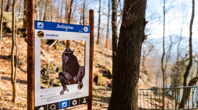 Potkejte makaka s medvědem na nové Zoo stezce