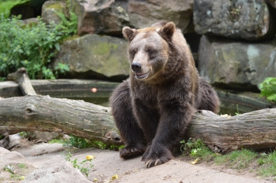 Podzimní prázdniny v zoo: Vyhrajete si deštník nebo pláštěnku