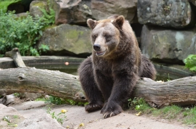 Podzimní prázdniny v zoo: Vyhrajete si deštník nebo pláštěnku