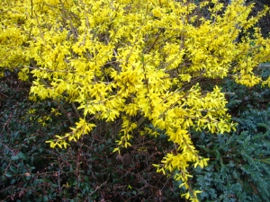 Jarní sluníčko láká cyklisty a bruslaře