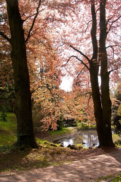Procházka Arboretem Kvádrberk se zajímavým výkladem
