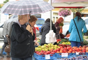 Informace o výjimkách z obecného postupu - Směrnice č. 5-6 k pořizování služeb, materiálu a majetku města