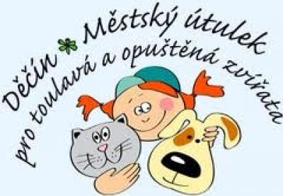 Městský útulek spočítal dary